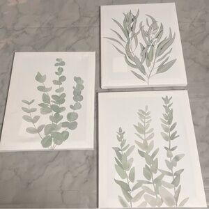 Set of 3 Botanical Art Green Farmhouse Eucalyptus Minimalist Approx 7.5”x10”